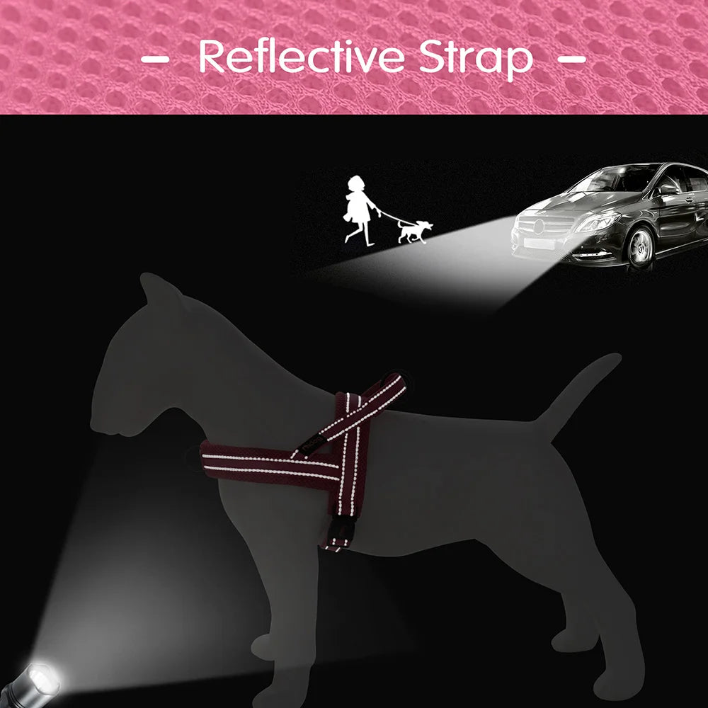 Harnais pour chien - Ajustable