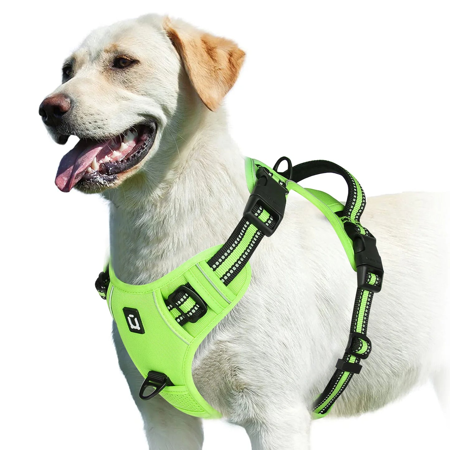Harnais chien anti traction - Rembourré