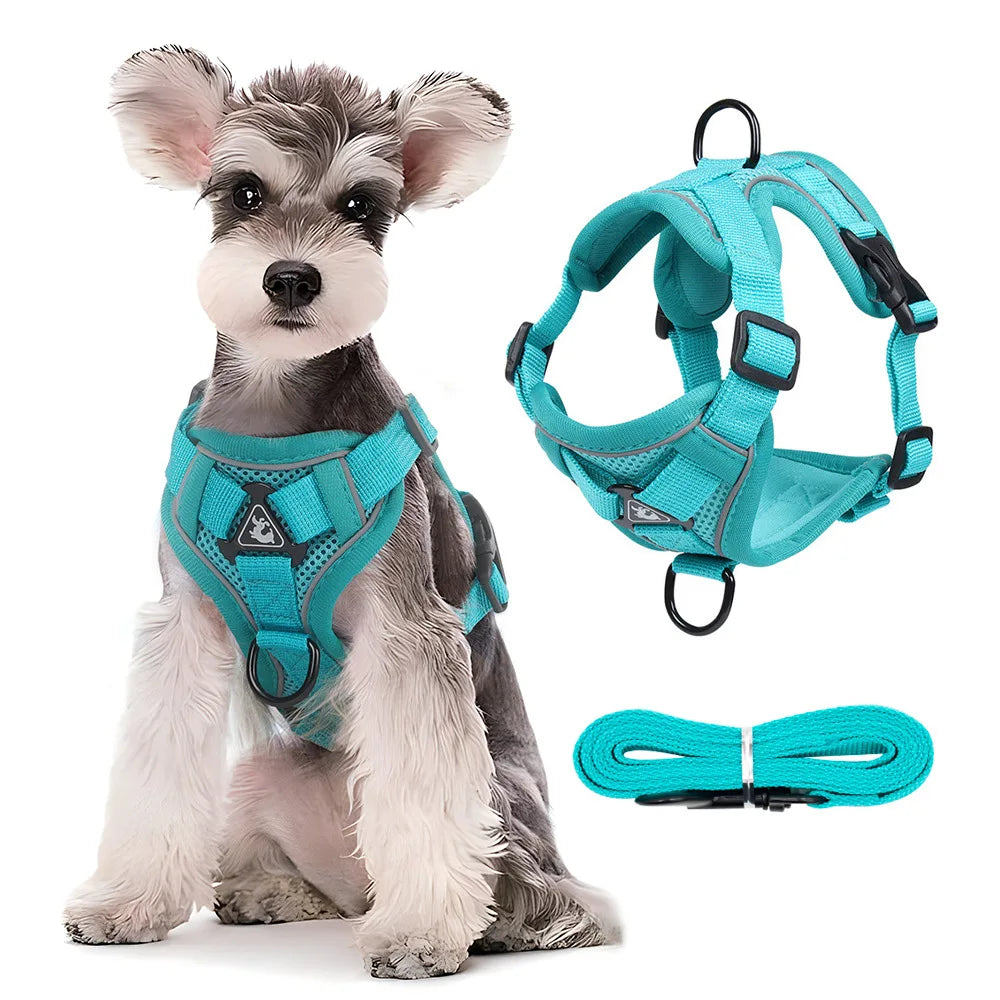 Harnais pour chien | Ensemble