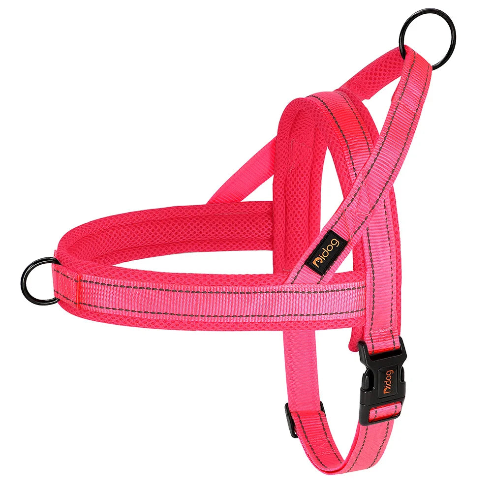 Harnais pour chien - Ajustable