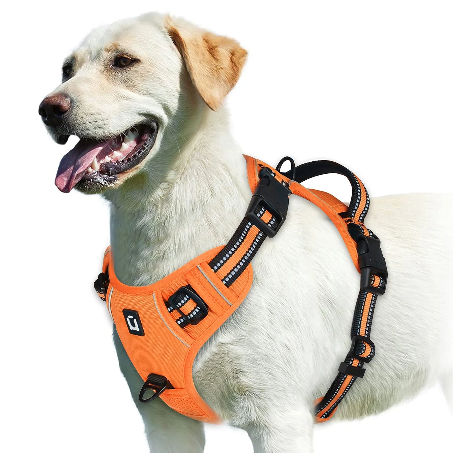 Harnais chien anti traction - Rembourré