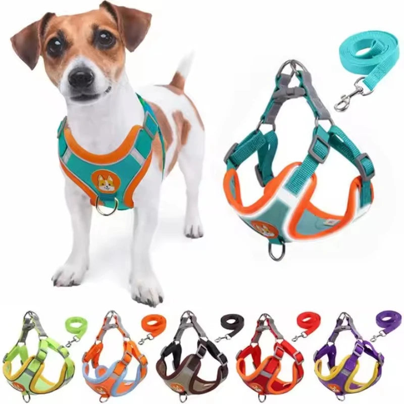 Harnais chien anti traction - Nylon