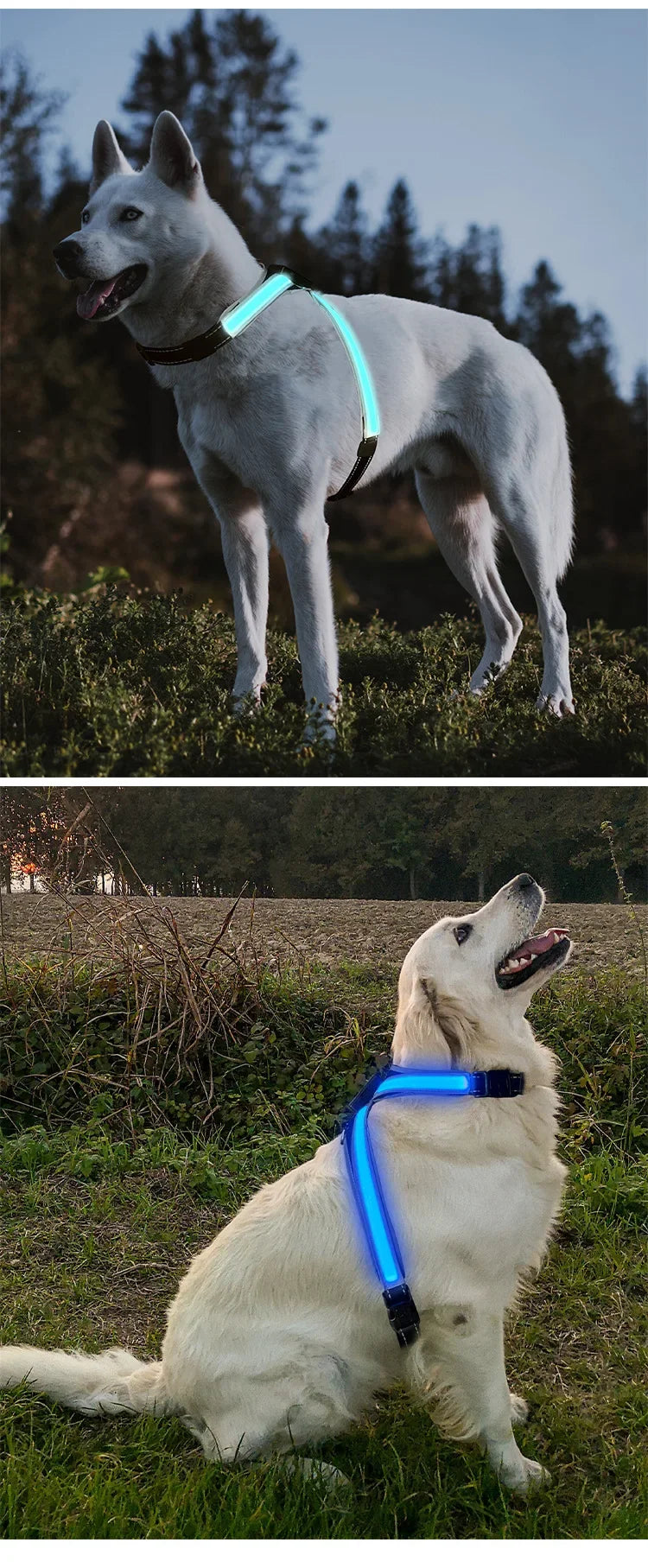 harnais anti traction chien - Led