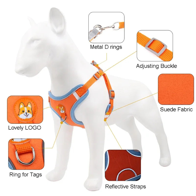 Harnais chien anti traction - Nylon
