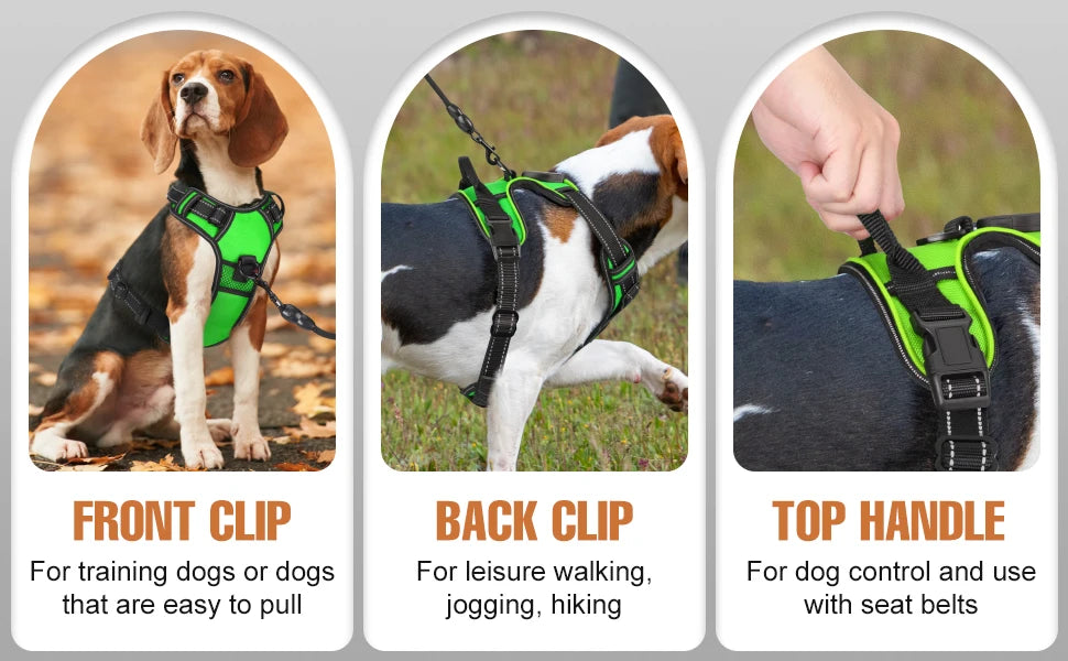 Harnais anti traction chien - Lumineux