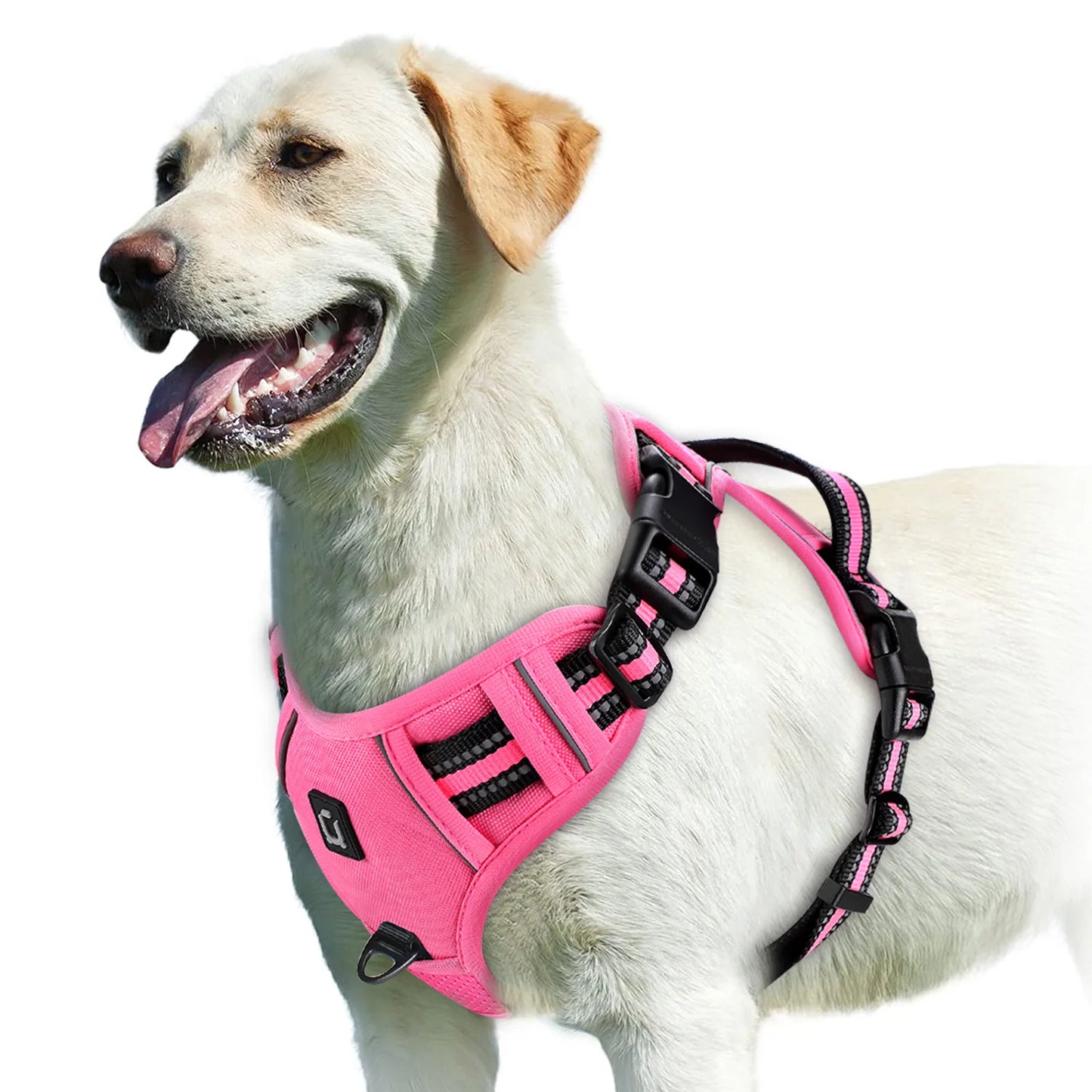 Harnais chien anti traction - Rembourré