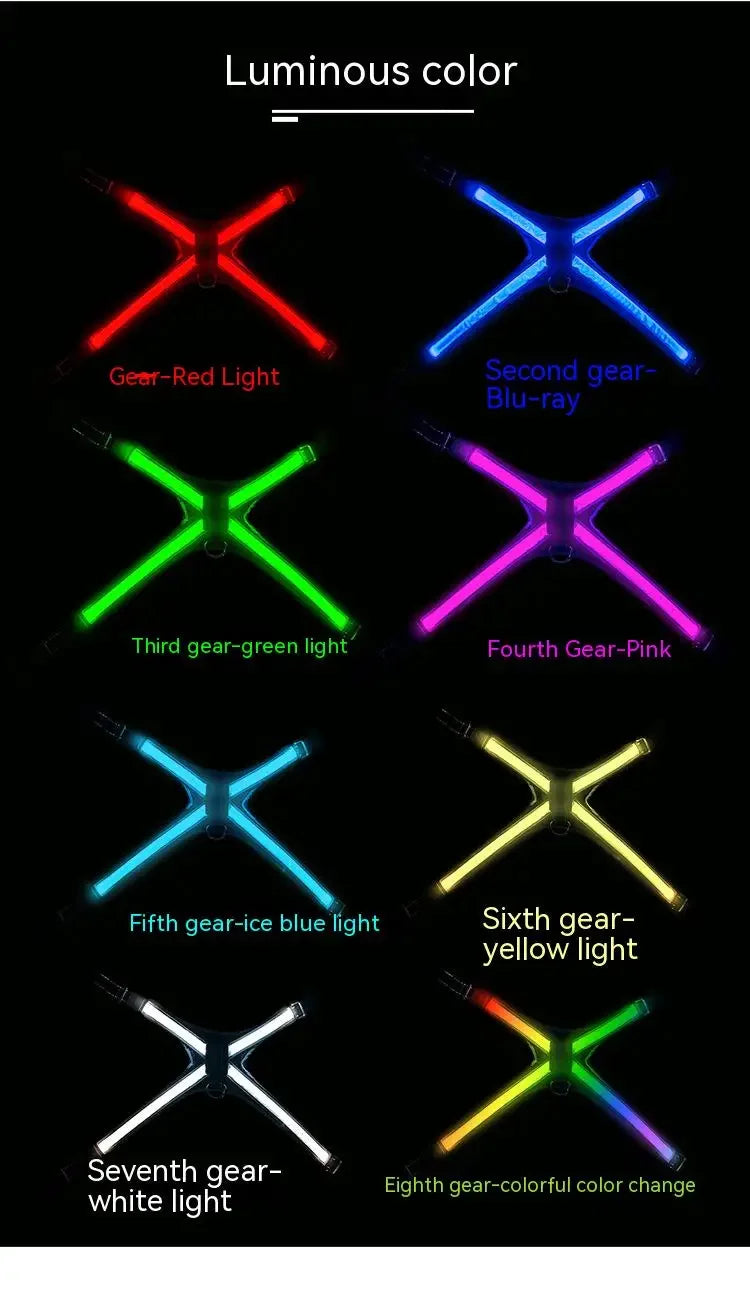 harnais anti traction chien - Led