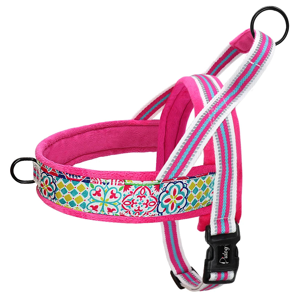 Harnais pour chien - Ajustable