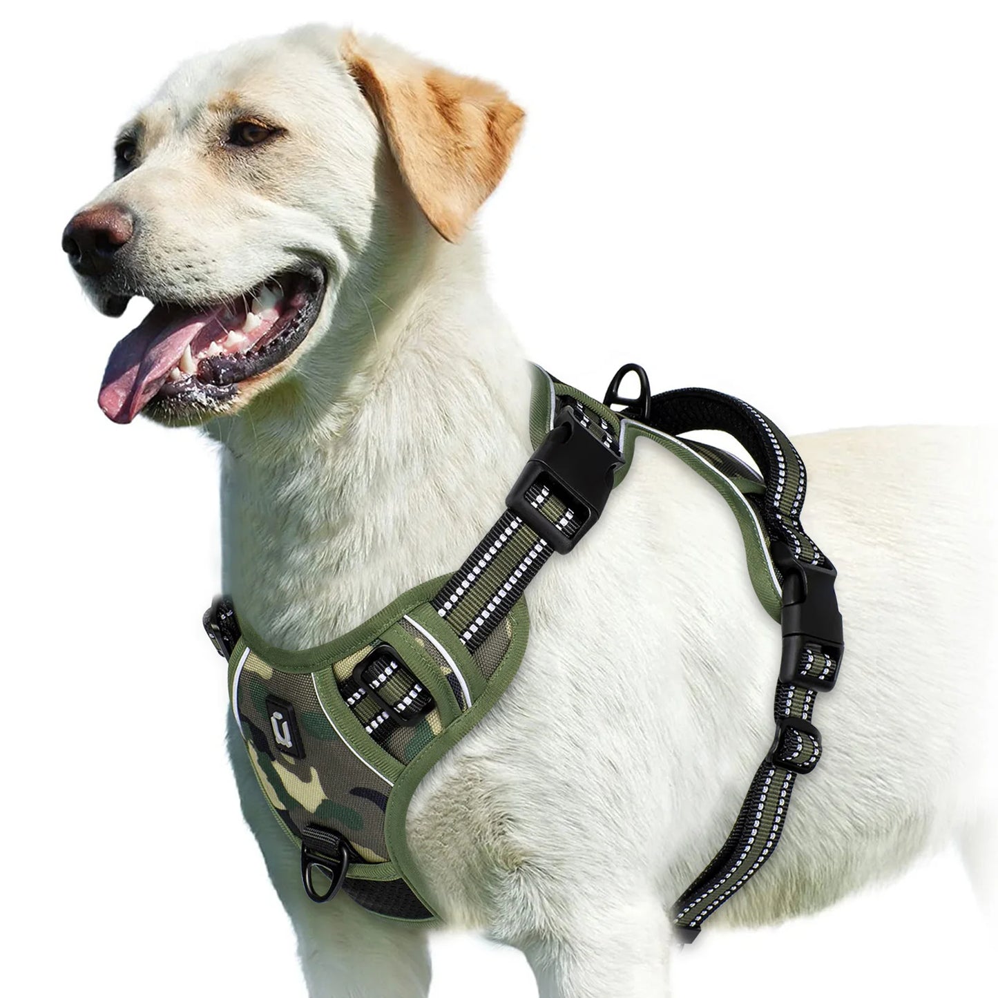 Harnais chien anti traction - Rembourré