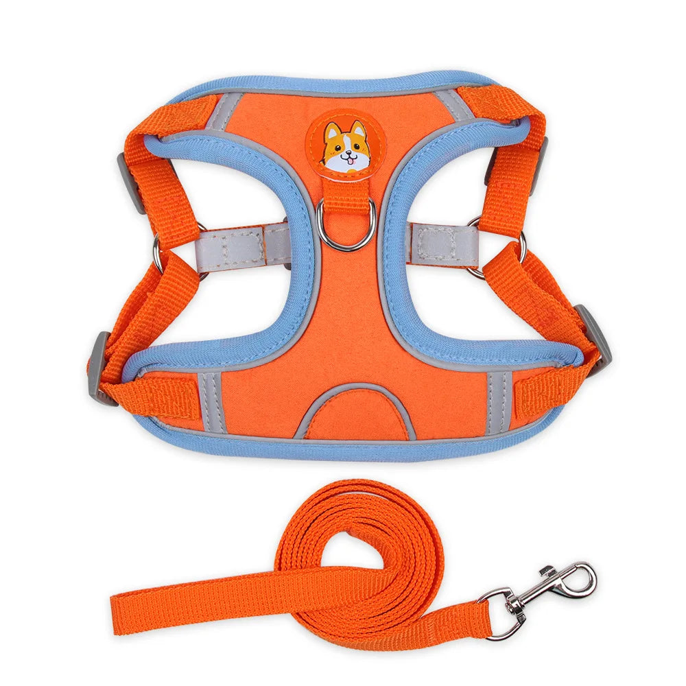 Harnais chien anti traction - Nylon