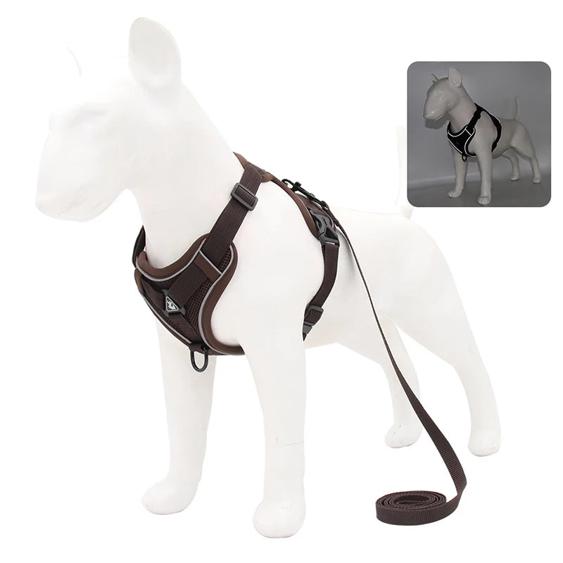 Harnais pour chien | Ensemble