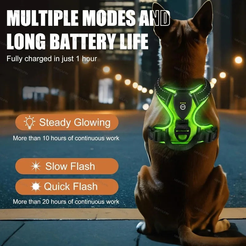 Harnais anti traction chien - Lumineux