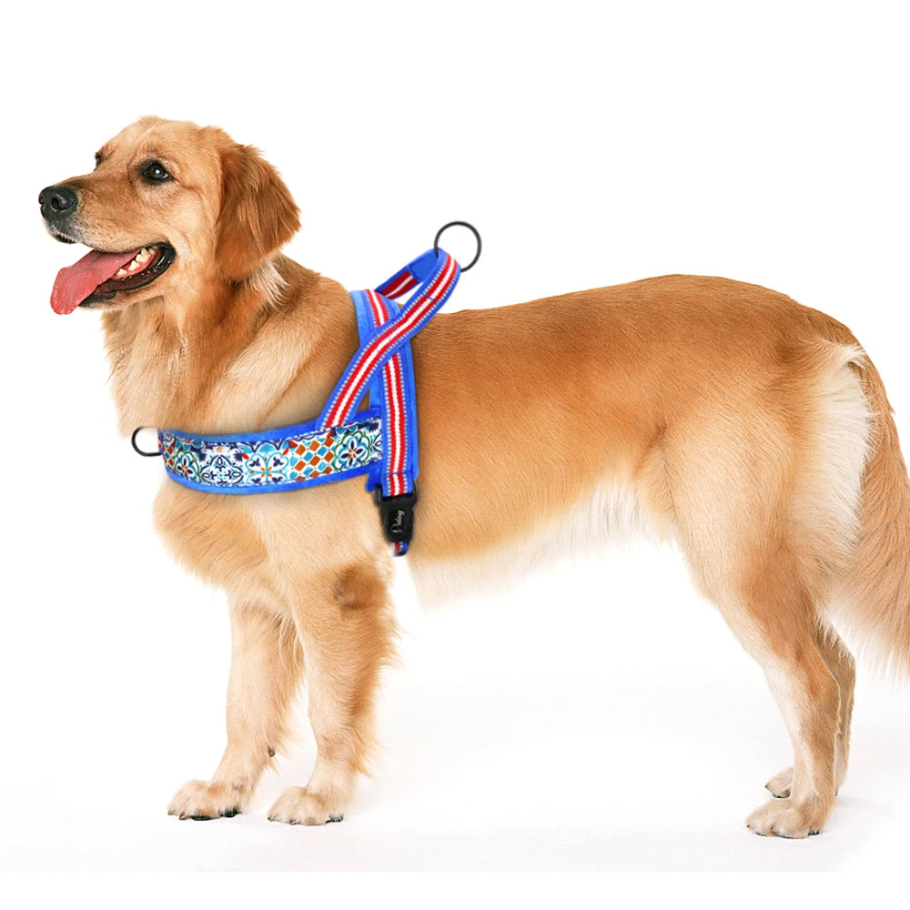 Harnais pour chien - Ajustable