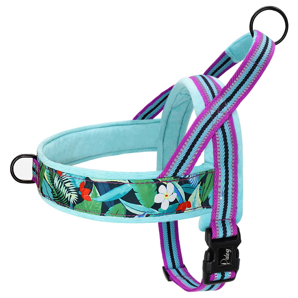 Harnais pour chien - Ajustable