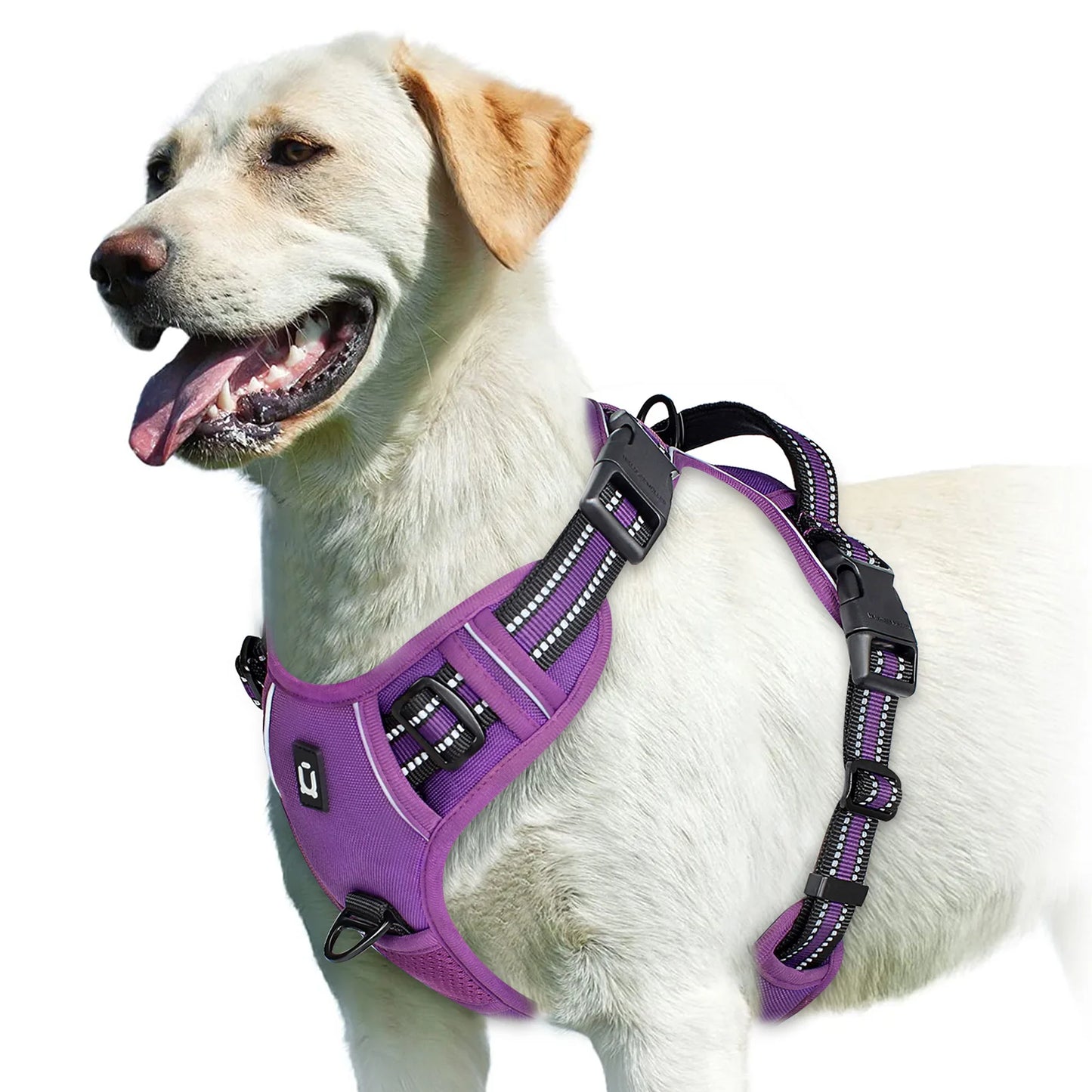Harnais chien anti traction - Rembourré