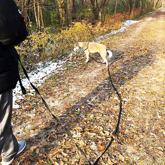 Laisse pour Chien - Longue