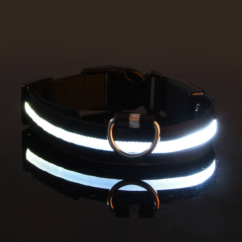 collier lumineux pour chien | LED