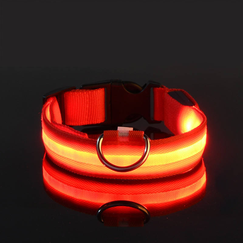 collier lumineux pour chien | LED