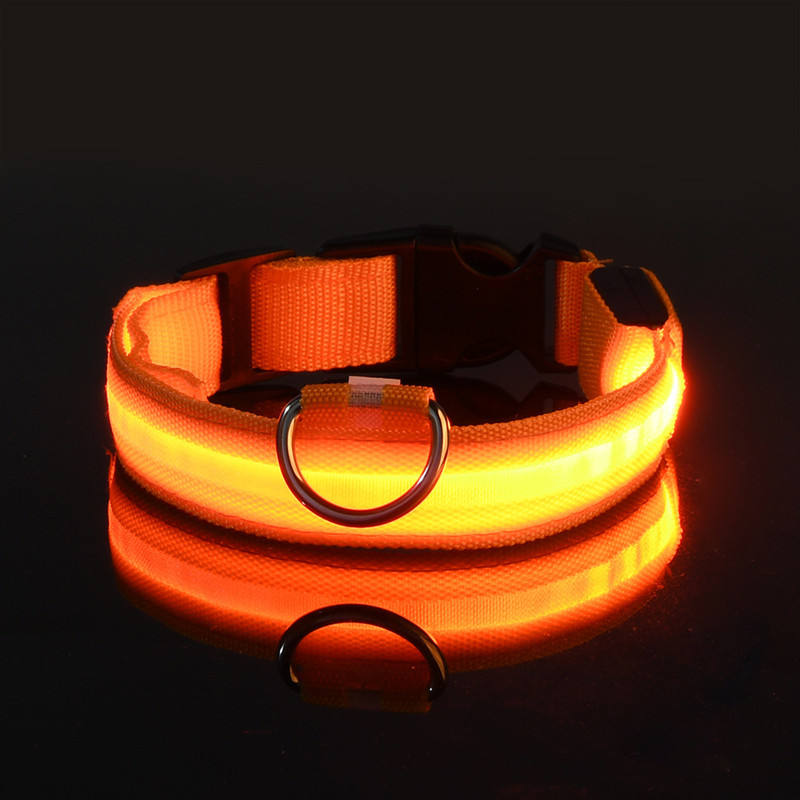 collier lumineux pour chien | LED