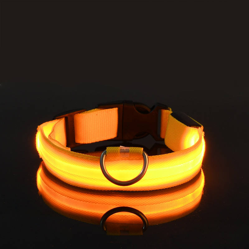 collier lumineux pour chien | LED