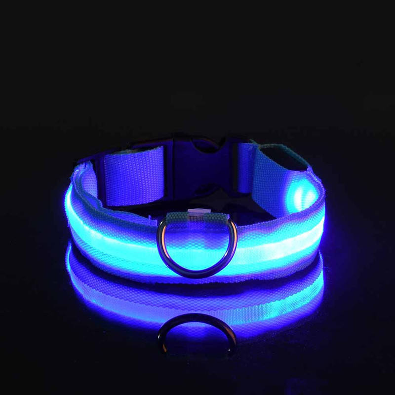 collier lumineux pour chien | LED