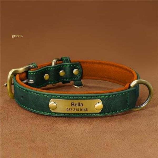 collier pour chien | Cuir-Fashion