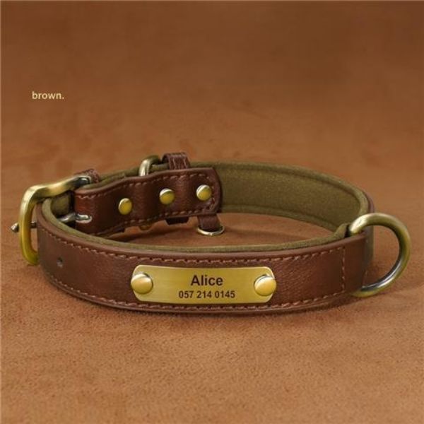 collier pour chien | Cuir-Fashion