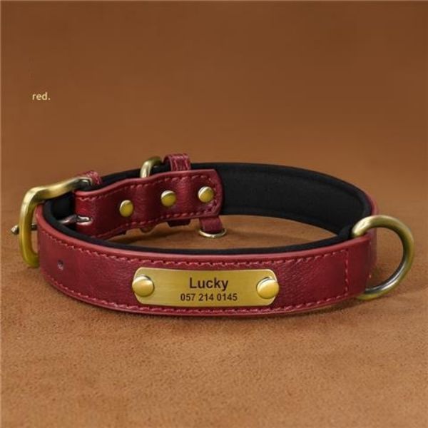 collier pour chien | Cuir-Fashion