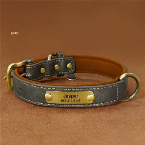 collier pour chien | Cuir-Fashion