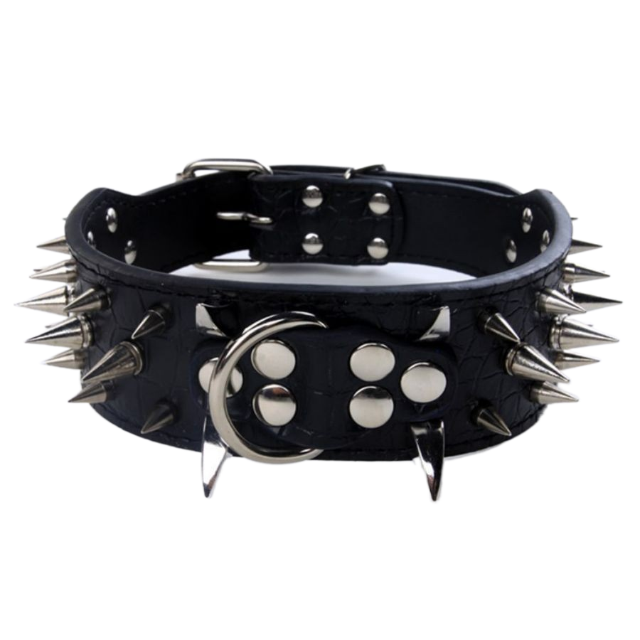 collier chien en cuir | Riveté
