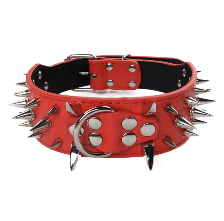 collier chien en cuir | Riveté