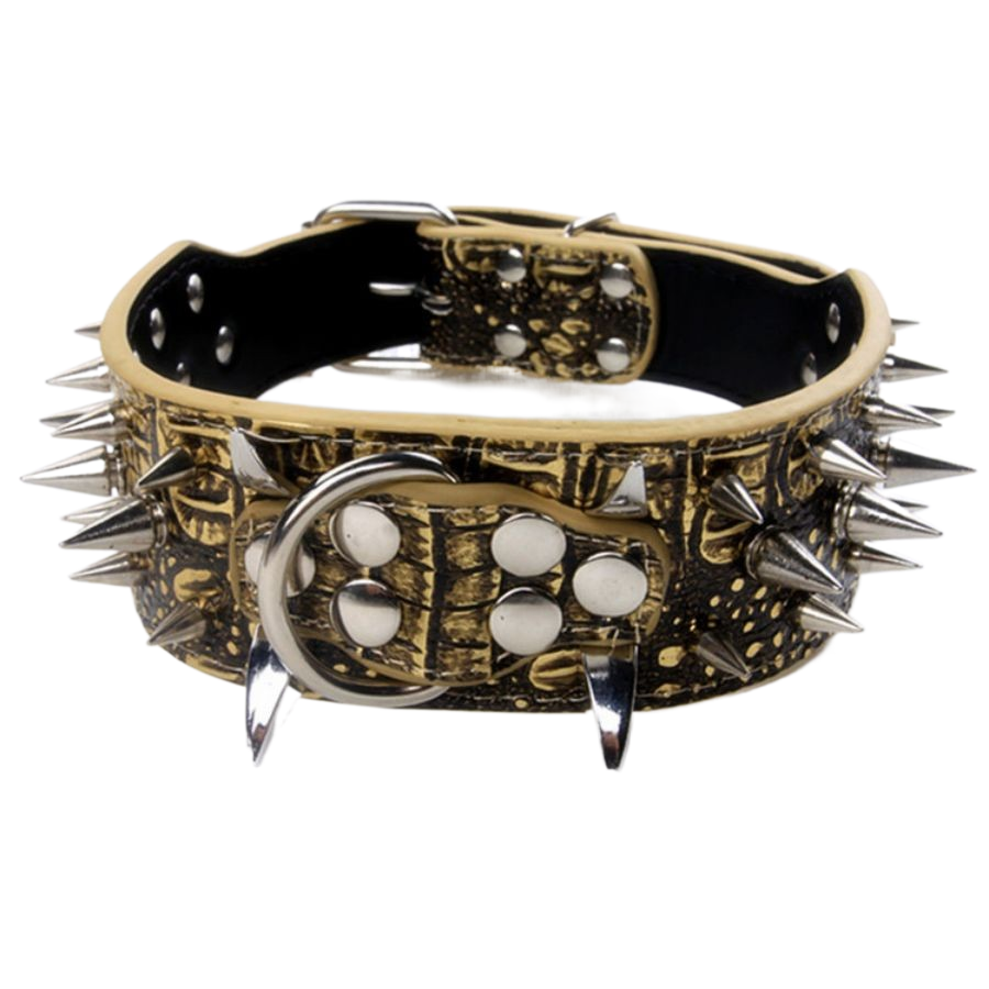 collier chien en cuir | Riveté