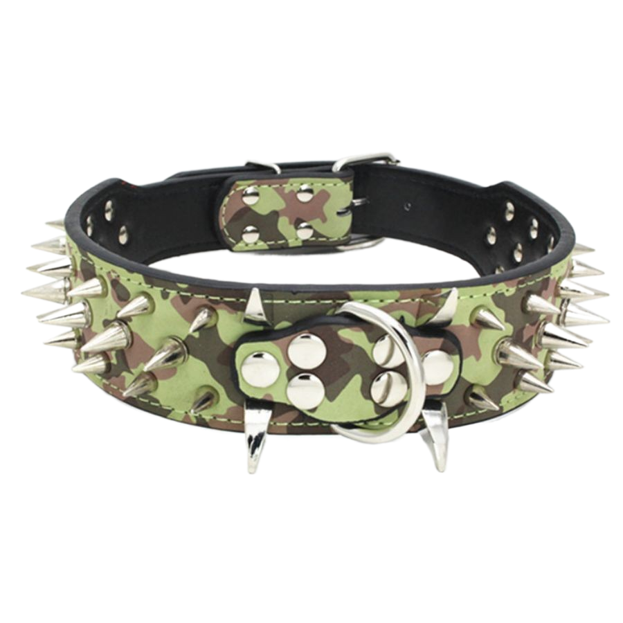 collier chien en cuir | Riveté