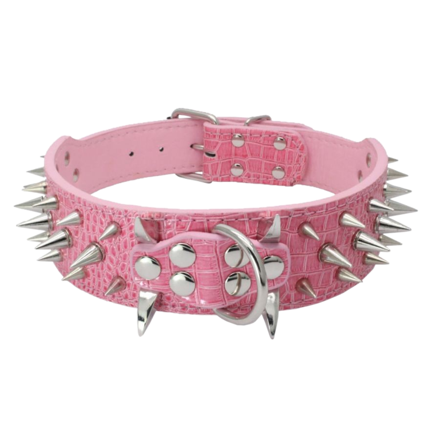 collier chien en cuir | Riveté