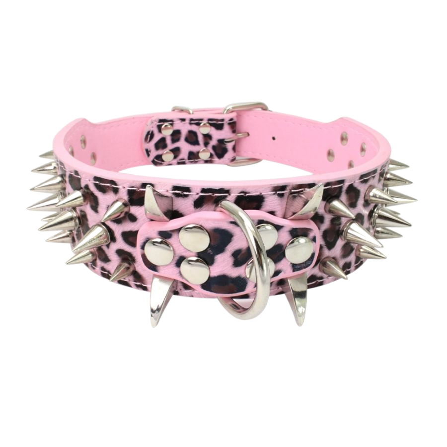 collier chien en cuir | Riveté