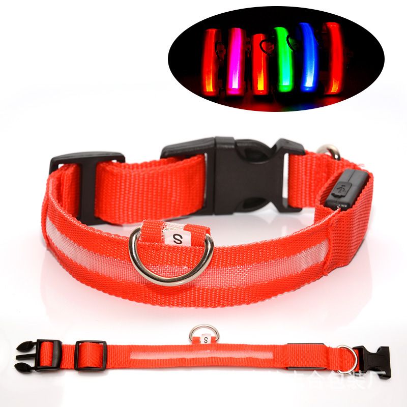 colliers lumineux pour chiens | Rechargeable
