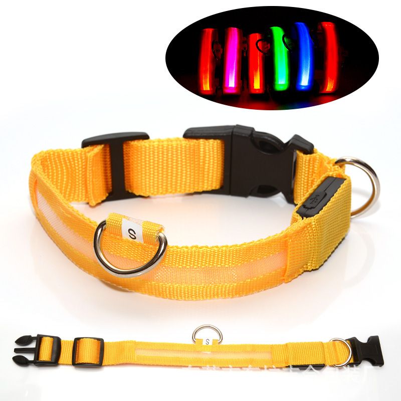 colliers lumineux pour chiens | Rechargeable