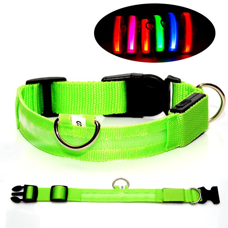 colliers lumineux pour chiens | Rechargeable