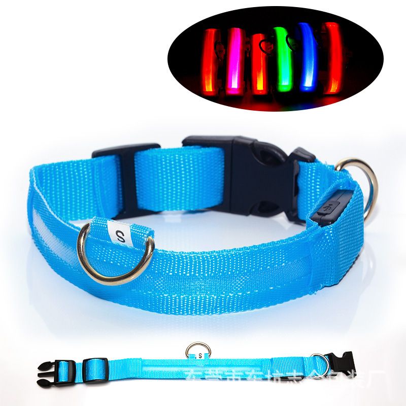 colliers lumineux pour chiens | Rechargeable