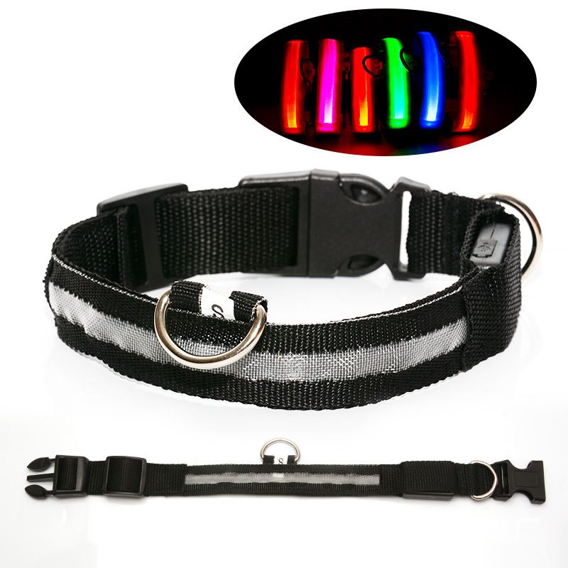 colliers lumineux pour chiens | Rechargeable