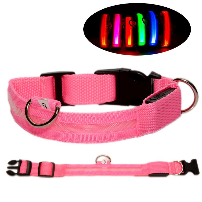 colliers lumineux pour chiens | Rechargeable