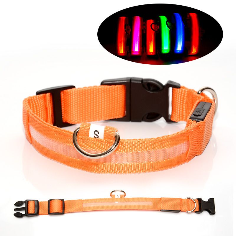 colliers lumineux pour chiens | Rechargeable