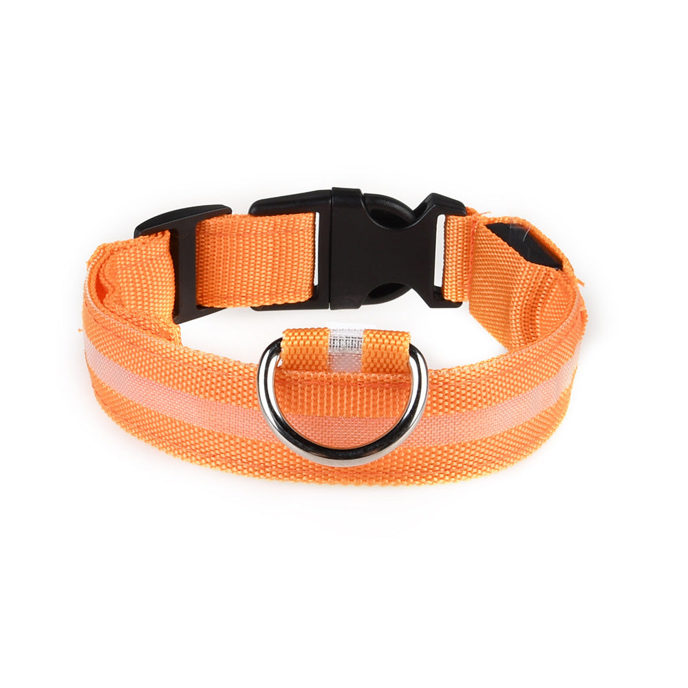 colliers lumineux pour chiens | LED