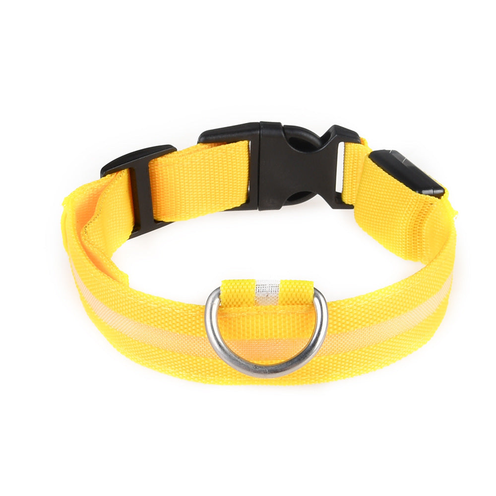 colliers lumineux pour chiens | LED