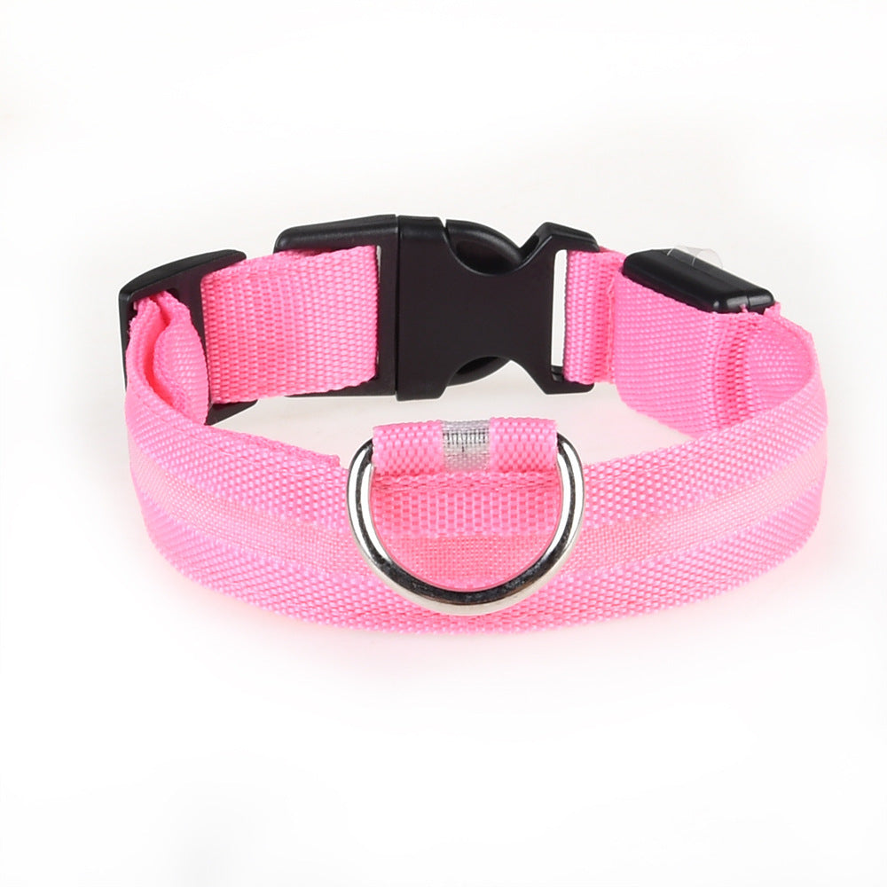colliers lumineux pour chiens | LED