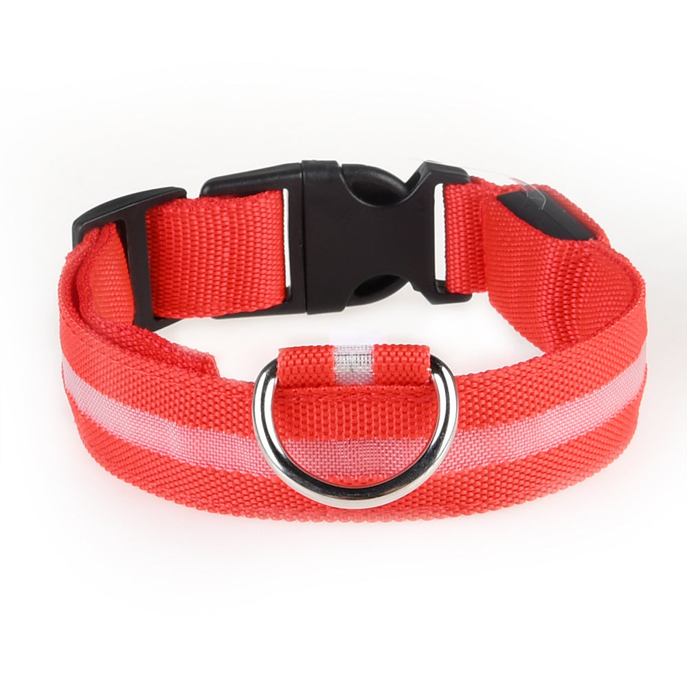 colliers lumineux pour chiens | LED