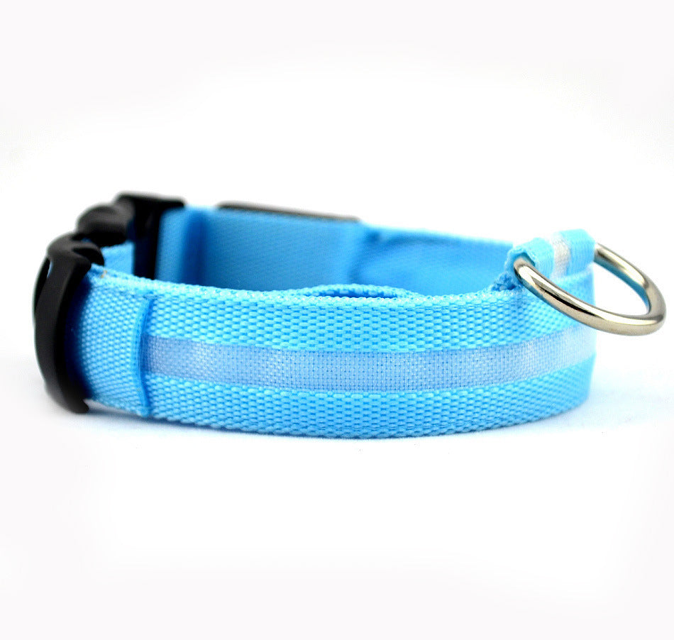 colliers lumineux pour chiens | LED