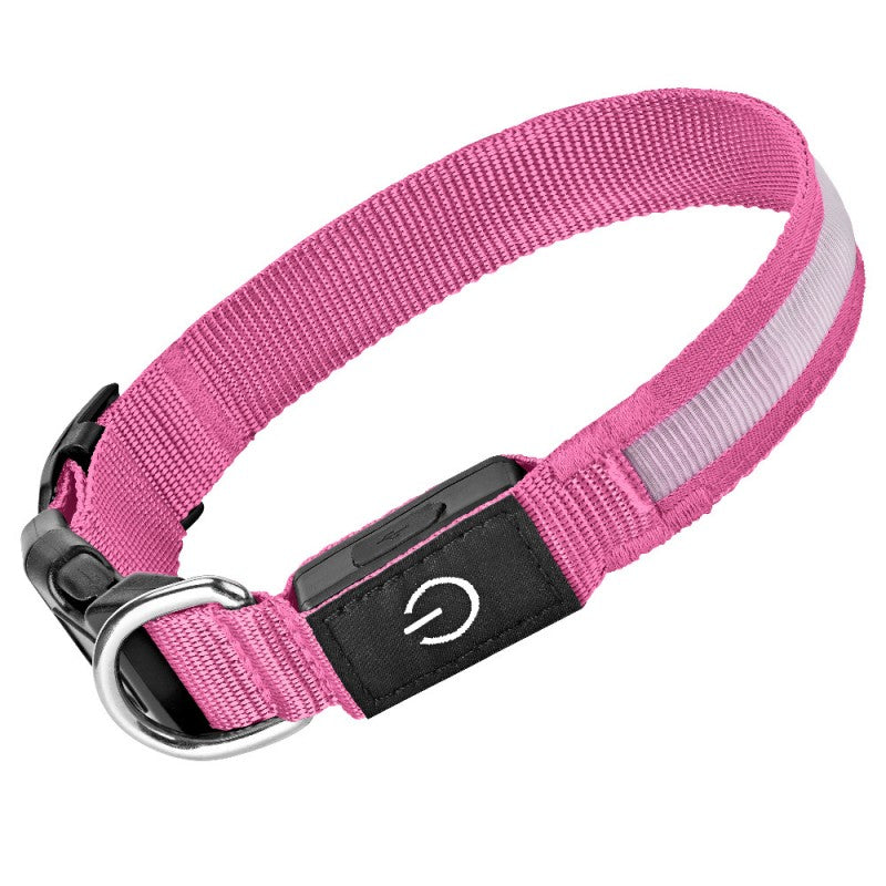 collier lumineux chien | LED