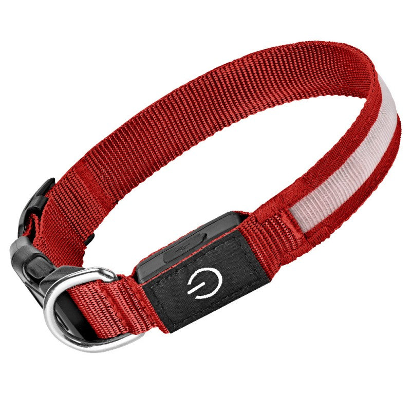 collier lumineux chien | LED