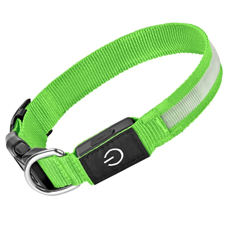 collier lumineux chien | LED